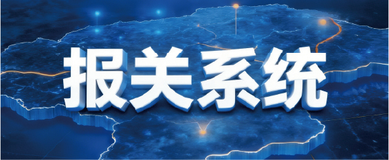 报关系统