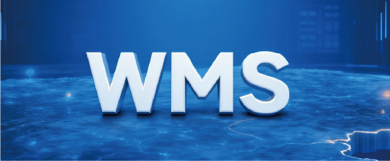 WMS